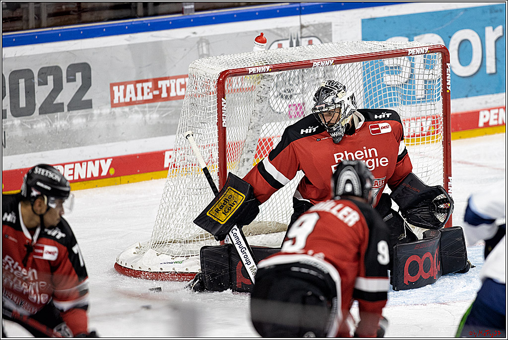 PENNY DEL;  Koelner Haie - Straubing Tigers; Koeln, 15.10.2021